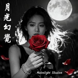 月光幻覺 (Instrumental)
