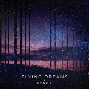 Flying Dreams