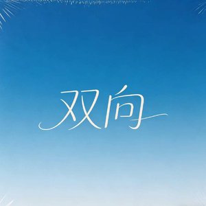 双向