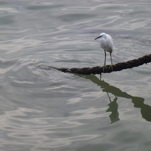 溶（航II）（纯音乐）【溶在海水里的盐，以及期待】