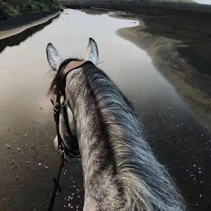 如果没有他你还爱我吗(DJ版)