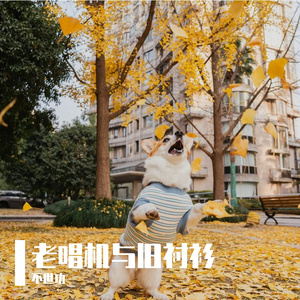 解不开的结，留给时间