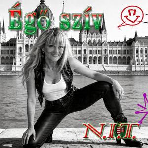 Égö sziv