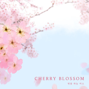 벚꽃 하늘 미소