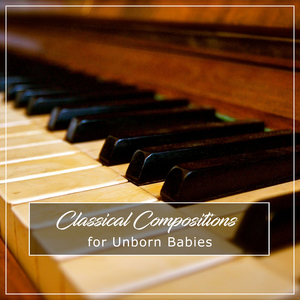 Bach's Variatio 6 a 1 Clav Canone alla Seconda