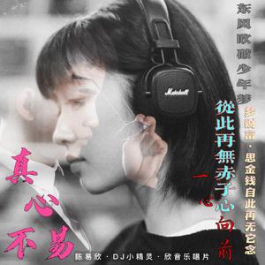 白龙马 - （慢摇唢呐舒适舞曲动态版）