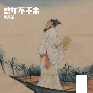 盛年不重来4