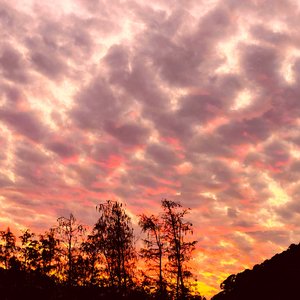 FIRE CLOUDS