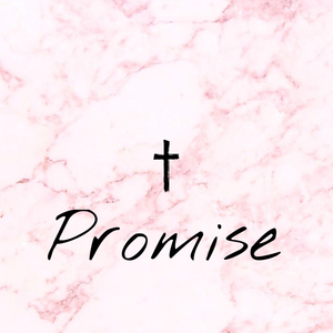 Promise