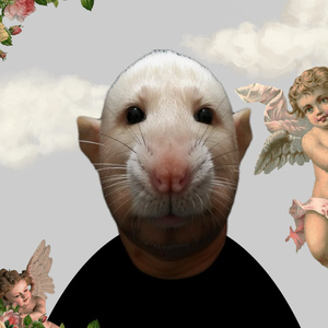 When I walked my dog. This song is what I heard. But I haven’t taken my dog on a walk and I just made that up.