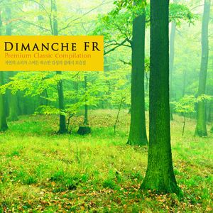 Brahms Piano Concerto No.1 In D Minor Op.15 - III. Rondo. Allegro Non Troppo(Nature Ver.)