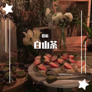 白山茶
