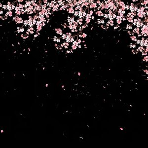 分不清是爱是恨