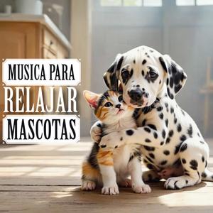 Calma mascotas que sufren depresion y ansiedad