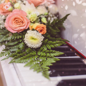 Apple Soda (feat. MoppySound)