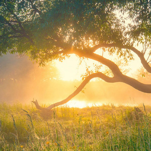 Ungishayela umthetho