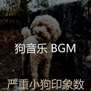 有趣训练犬情怀