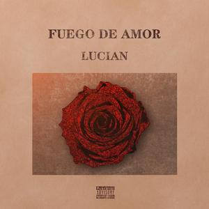FUEGO DE AMOR