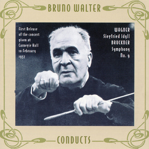 Symphony No. 9 in D Minor, WAB 109 (original 1894 version, ed. A. Orel):I. Feierlich, misterioso