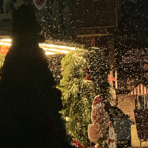 你比冬天先来 又比冬天先走