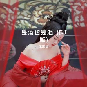是酒也是泪 (DJ版)