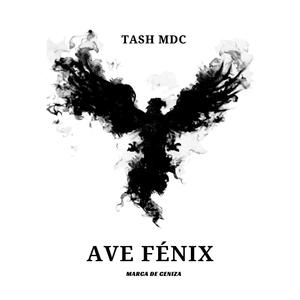 AVE FÉNIX