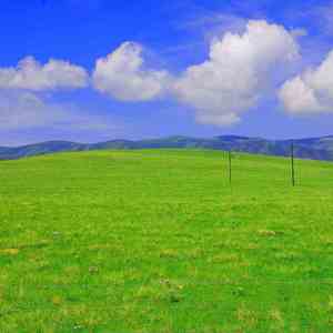 他的爱在心底埋藏了磨平了几年了仍有余威是不能原谅却不能阻挡