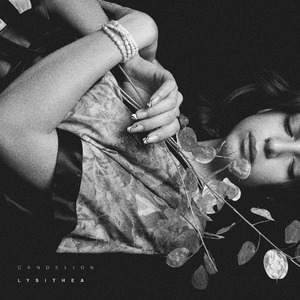 Cotton and Strangers