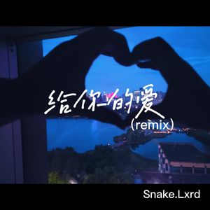 给你的爱（remix）