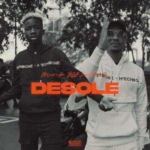 Desole (feat. Kams)