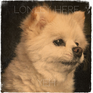 Lonley Here