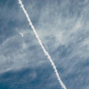 小莉（翻自 左小祖咒）