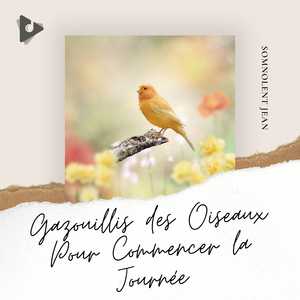 Parc national des Retombées des Everglades