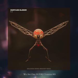 Surface Glider (Michel Heukrodt Remix) (V.1)