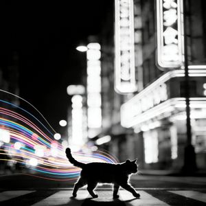 Plastic Night, Fading Slow