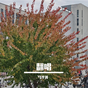 你的眼神是一场盛大的废墟