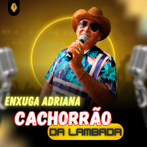 Melô Do Tchá Tchá Tchá