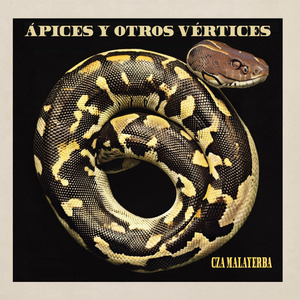 Ápices