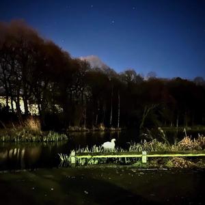 SavedByTheNight (feat. Eyesluvsu)