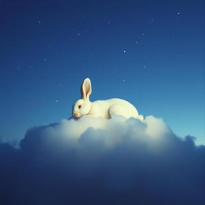 Silent Cloud Dreams, Vol. 7