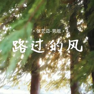 路过的风(男版)
