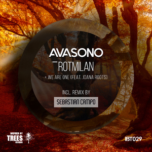 Rotmilan (Sebastian Campo Remix)