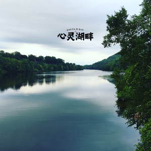 静心漫步 (古琴)