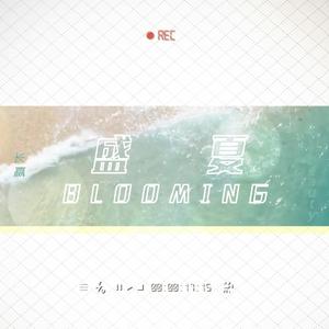 盛夏Blooming