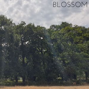 Blossom