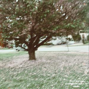 don't wanna grow (Never Grow Up Remix)
