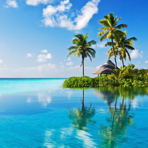 一切都刚刚好（古筝）