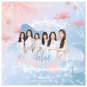 The Blue Bird(파랑새)（翻自 APRIL(에이프릴)）