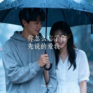 你怎么忘了你先说的爱我
