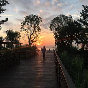 拼音师-拼音师-泰国鬼新娘3（Gv文文 remix）